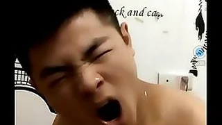 Gay TV 96
